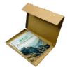 Brown PiP Small Parcel Postal Box - 347x242x19mm