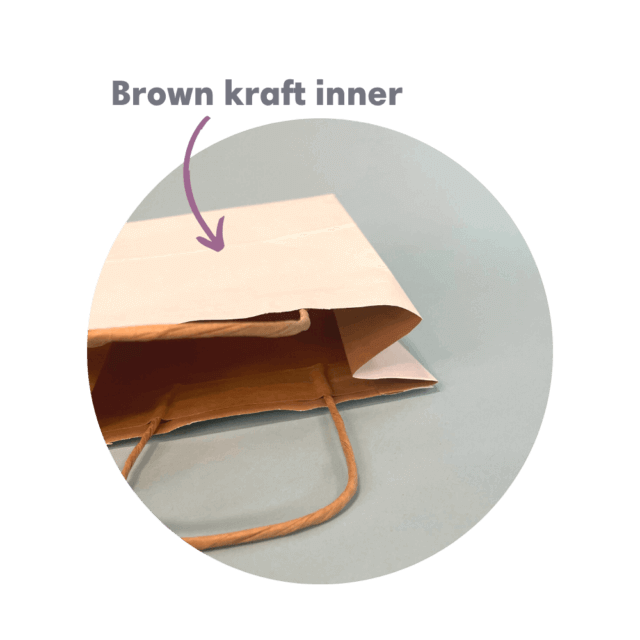 White Kraft Premium Twist Handle Paper Carrier Bags