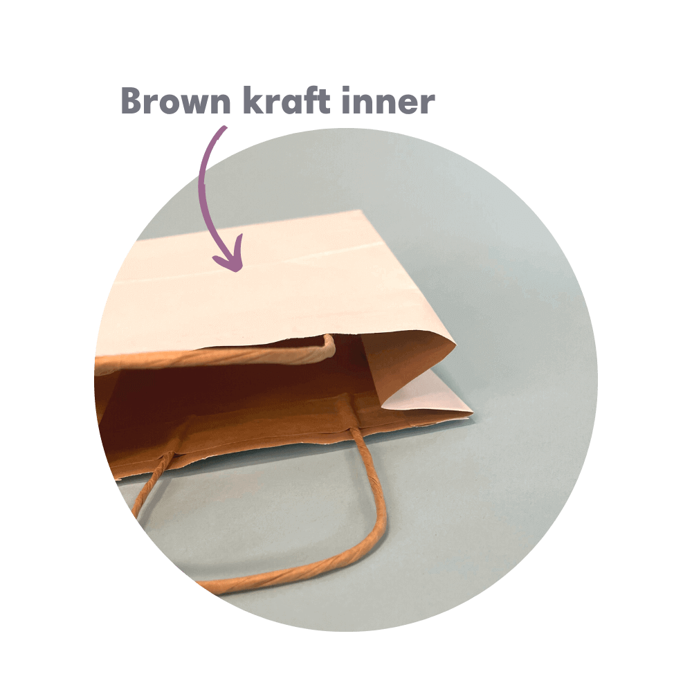 White Kraft Premium Twist Handle Paper Carrier Bags